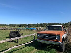 Chevrolet K20 rv 1978 Silverado - 3