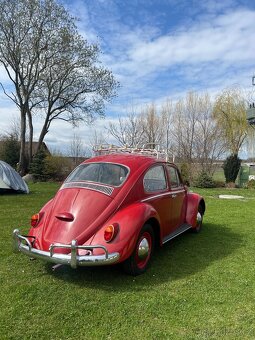 VW brouk 1.3 - 3