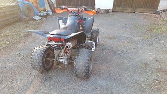 Yamaha raptor 350 - 3