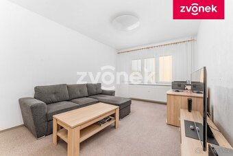 2+1 M. Knesla, žádaná lokalita - 3