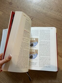 Psychologie Atkinsonové a Hilgarda - 3