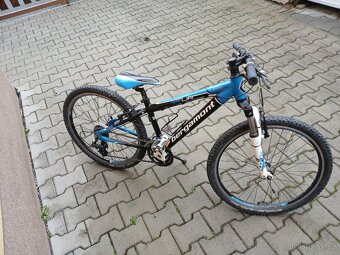 Dětske kolo bergamont - 3