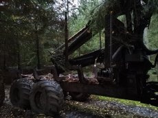 probírková vyvážečka Komatsu 840.4 - 3