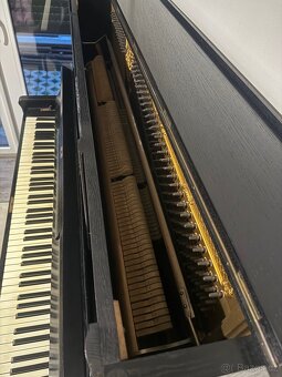 Piano PETROF - 3