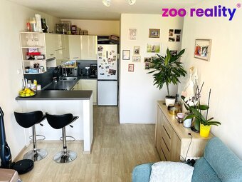 Pronájem , byt 2+kk, alfonse muchy - 3