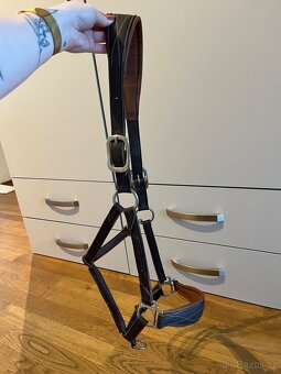 Spooks, Equiline, Eskadron a další - 3