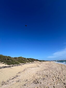 Olivový sad 9100m2 u moře - 3