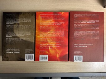 Stieg Larsson - Milénium Box Set - 3