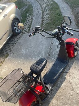 Capirelli urbano - 3