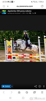 Pony kobylka po bonsaj - 3