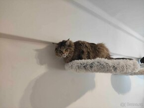 Kočičí plochy na zeď, odpočivadlo , škrabadlo,bydlo - 3