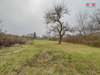 Prodej pole, 468 m², Třebenice - 3