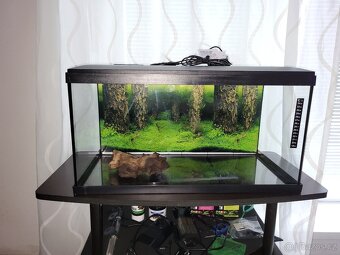 Akvárium 54 l , set s příslušenstvím - 3