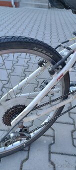 Author mx 7005 velikost 24 - 3