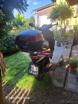 MAXON MATADOR - 3
