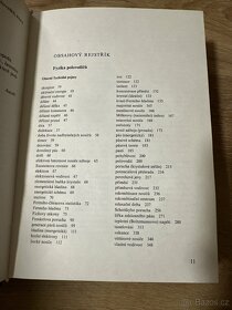Malá encyklopedie elektrotechniky - 3