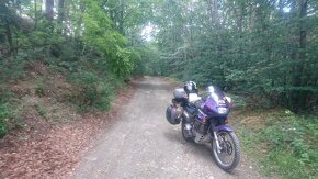 Honda Transalp XL600 V - 3