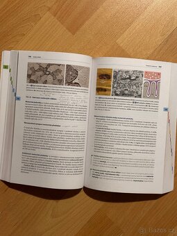 Učebnice histologie - Memorix, Renate Lüllmann-Rauch - 3
