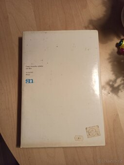 Umění lidových tesařů, kameníků a sochařů v Sev. Čechách - 3