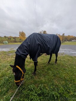 Pláštěnka s krkem 0g, 165cm - 3