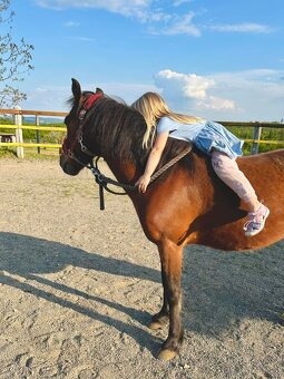 Hodná osmiletá ponička - 3