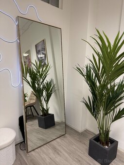 Přenechání kosmetického studia - 3