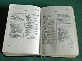 Kapesní rusko-český slovník - 3