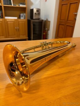 Křídlovka Hans Krinner model VK - 3