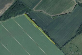 Zemědělská půda, prodej, Moravská Nová Ves, Břeclav - 3