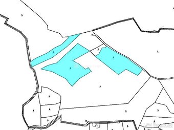 Lesní pozemky k.ú. Prlov - 3