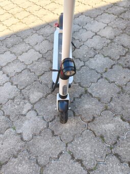 City Boss RX5L - 3