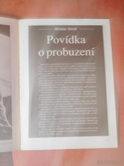 Nahá a krásná - fotopublikace - 3