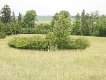 Prodej louky v k.ú. Dobroutov o výměře 17 087 m2 - 3