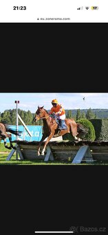 Valach A1/1 5let - 3