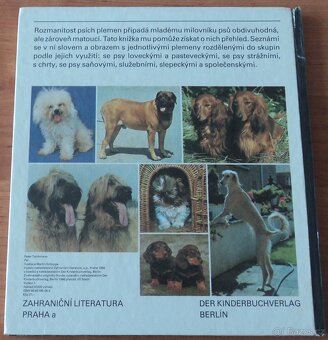 Psi, Stavby zvířat - 3