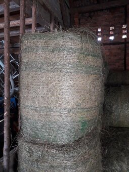 Seno velké kulaté balíky - 3