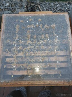 Vyzimované včelí oddělky - včelstva - 3