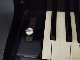 Klavírní křídlo - 3