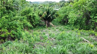 Isery Main Road, Roatan - 3