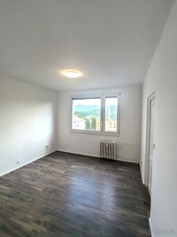 Pronájem bytu 1+1, Železná 379, Ústí nad Labem - 3