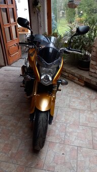Honda Hornet 600 - 3