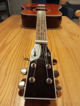 Kopie Martin D-45 - 3