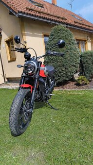 Ducati Scrambler Icon 800 - 3