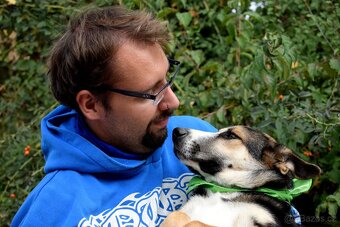 DOMINO K ADOPCI - 1 ROK, UČENLIVÝ,HODNÝ,ZVĚDAVÝv - 3