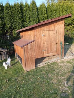 Kurnik pro slepice - 3