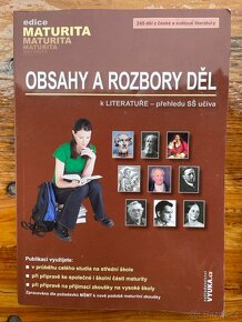 Obsahy a rozbory děl k literatuře (maturita) - 3
