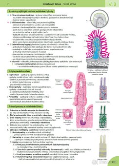 MEMORIX HISTOLOGIE - 3