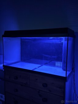 Akvárium 110l + technika - 3