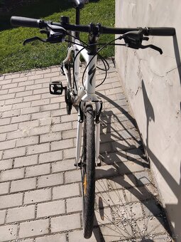 Kolo specialized L - 3