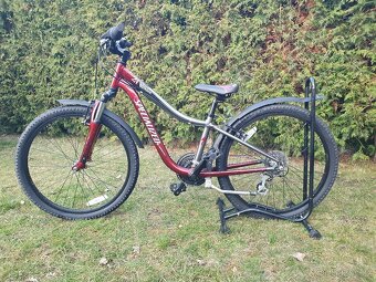 Specialized - 3